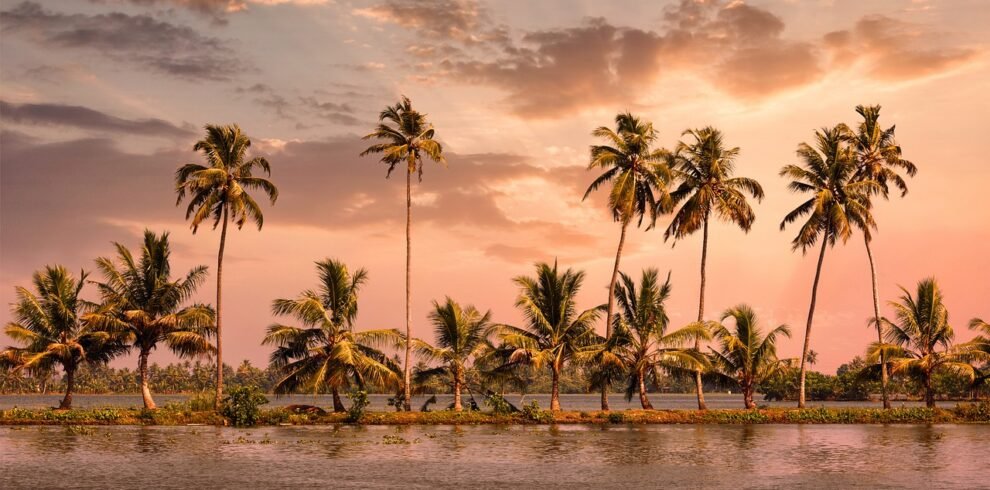 alleppey, kerala, houseboat, india, travel, kumarakom, backwaters, alappuzha, alleppey, alleppey, alleppey, kerala, kumarakom, kumarakom, kumarakom, kumarakom, kumarakom, alappuzha, alappuzha
