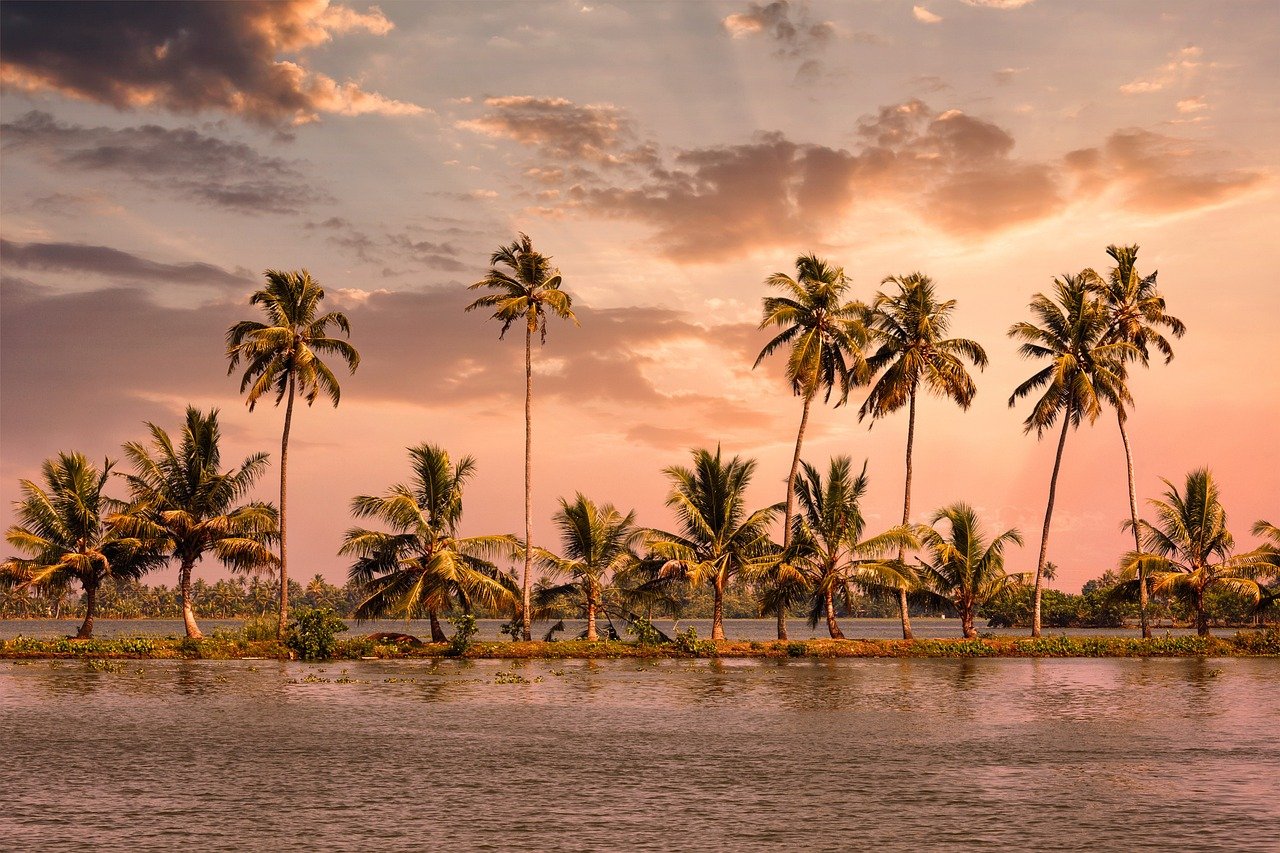 alleppey, kerala, houseboat, india, travel, kumarakom, backwaters, alappuzha, alleppey, alleppey, alleppey, kerala, kumarakom, kumarakom, kumarakom, kumarakom, kumarakom, alappuzha, alappuzha