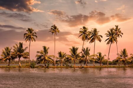 alleppey, kerala, houseboat, india, travel, kumarakom, backwaters, alappuzha, alleppey, alleppey, alleppey, kerala, kumarakom, kumarakom, kumarakom, kumarakom, kumarakom, alappuzha, alappuzha